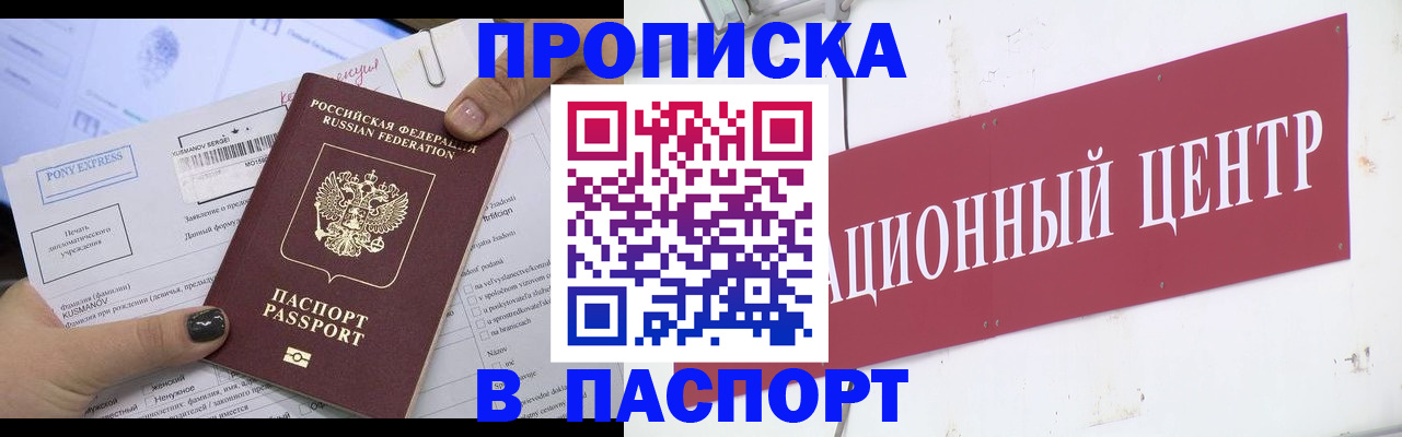временная регистрация для всех в Курчалом